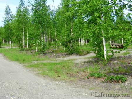 Arctic Circle campground