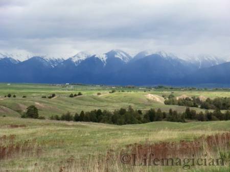 National Bison Ranch