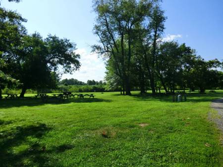Fort Dupont SP Picnic Area