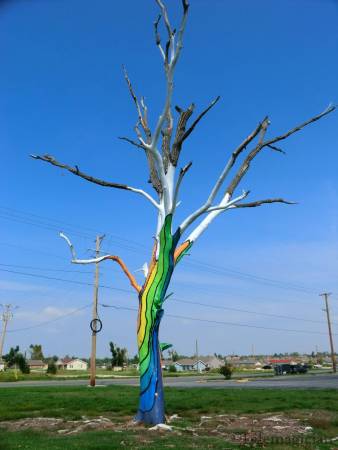 Joplin Tree