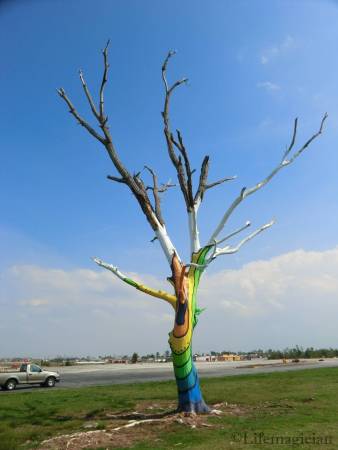 Joplin Tree