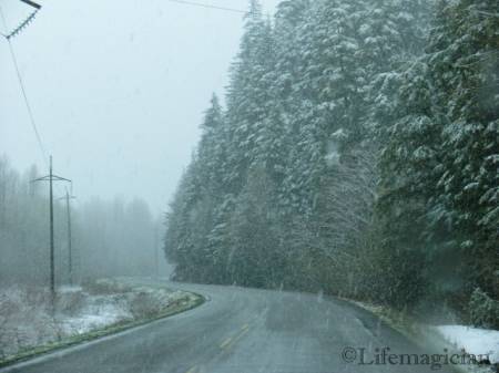 Leaving Stewart