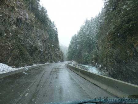 Leaving Stewart