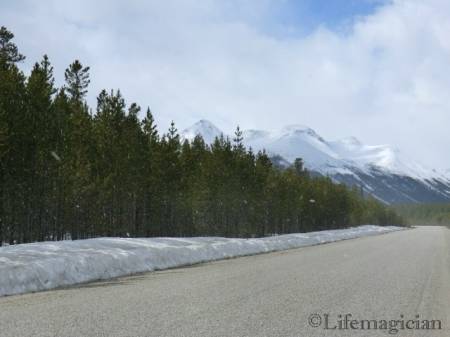 Northern Cassiar