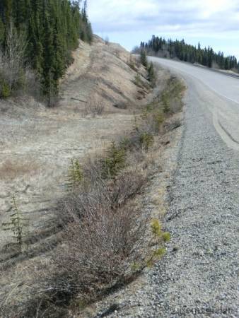 Alaska Highway Watson Lake to Whitehorse