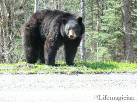 British Columbia