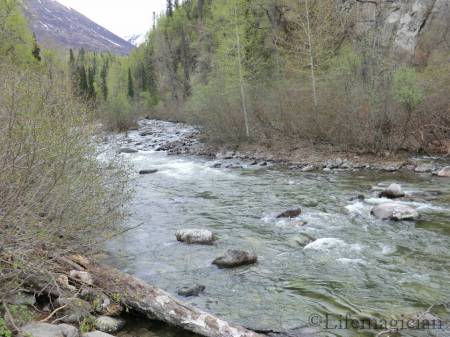 Little Susitna River