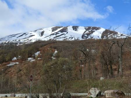 Govt Peak Picnic Site