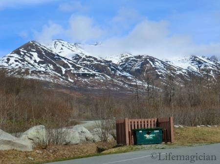 Govt Peak Picnic Site