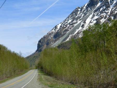 Glenn Hwy