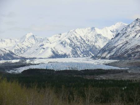 Matanuska Glacier