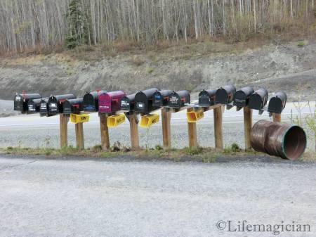 Matanuska Glacier Campground