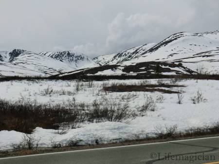Between Paxson and Tangle Lake Inn
