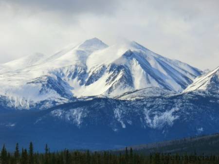 To Carcross