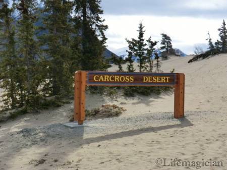 Carcross Desert