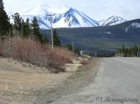 Carcross Desert