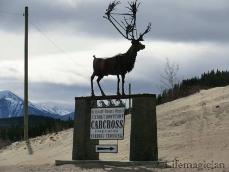 Carcross
