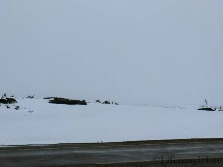 Fraser Rest Area