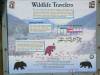 After_Skagway_047.jpg