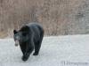 After_Skagway_109.jpg