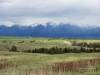 Bison_Ranch_007.jpg