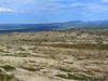 Finger_Mountain_008.jpg