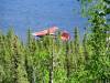 Grayling_Lake_005.jpg