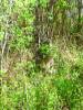 Grayling_Lake_010.jpg