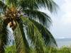 Key_West_007.jpg