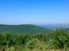 Lick_Hollow_Picnic_Ground_and_Scenic_Overview_006.jpg