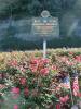 Lick_Hollow_Picnic_Ground_and_Scenic_Overview_008.jpg