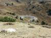 Loveland_Pass_026.jpg