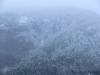 Stewart_Watson_Lakes_Whitehorse_004.jpg
