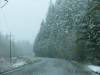 Stewart_Watson_Lakes_Whitehorse_007.jpg