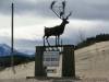 Whitehorse_Skagway_020.jpg