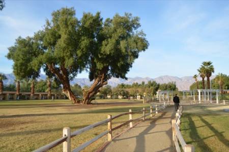 Furnace Creek Ranch