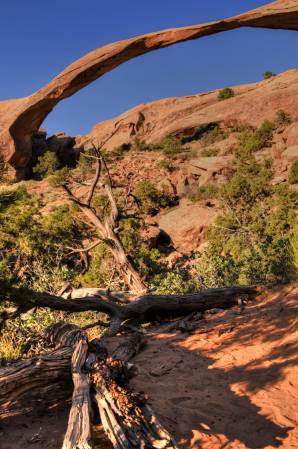 Landscape Arch