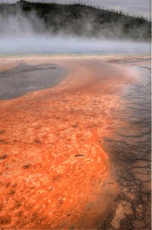 Yellowstone Geyser