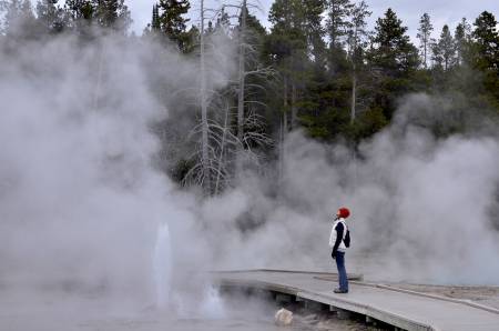 Yellowstone Geyser