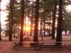 Pics_0061.jpg