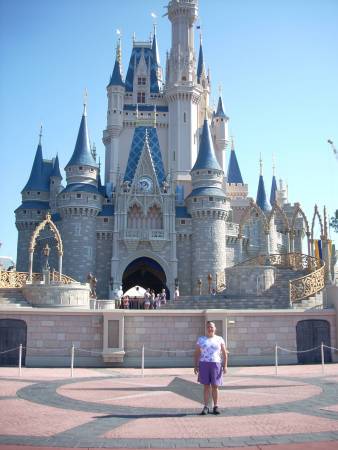 Disney's Magic Kingdom Castle