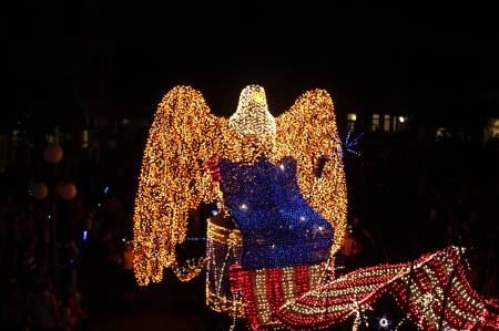 Disney's Magic Kingdom Electrical Parade