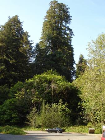 DSC01280