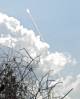 DSC00449.JPG