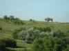DSC00934.JPG