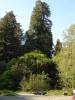 DSC01280.JPG