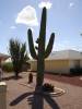 DSC01648.JPG