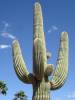 DSC01649.JPG