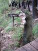 DSC01665.JPG