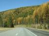 DSC01939.JPG